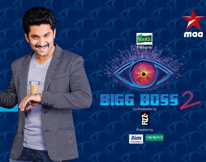 Bigg Boss 2 Telugu
