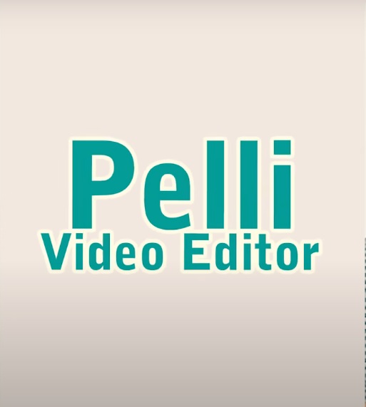 Pelli Video Editor Web Series