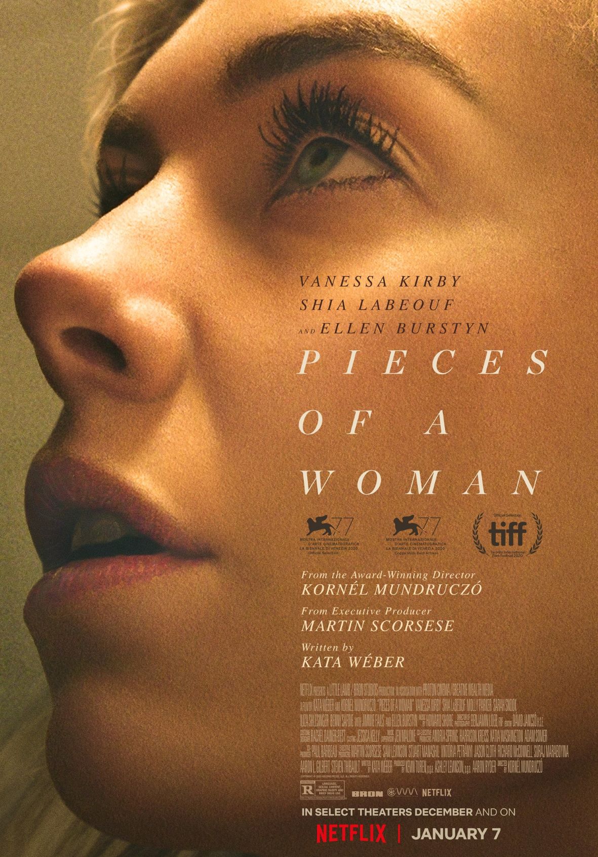 Pieces Of A Woman