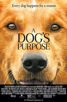 A Dog's Purpose