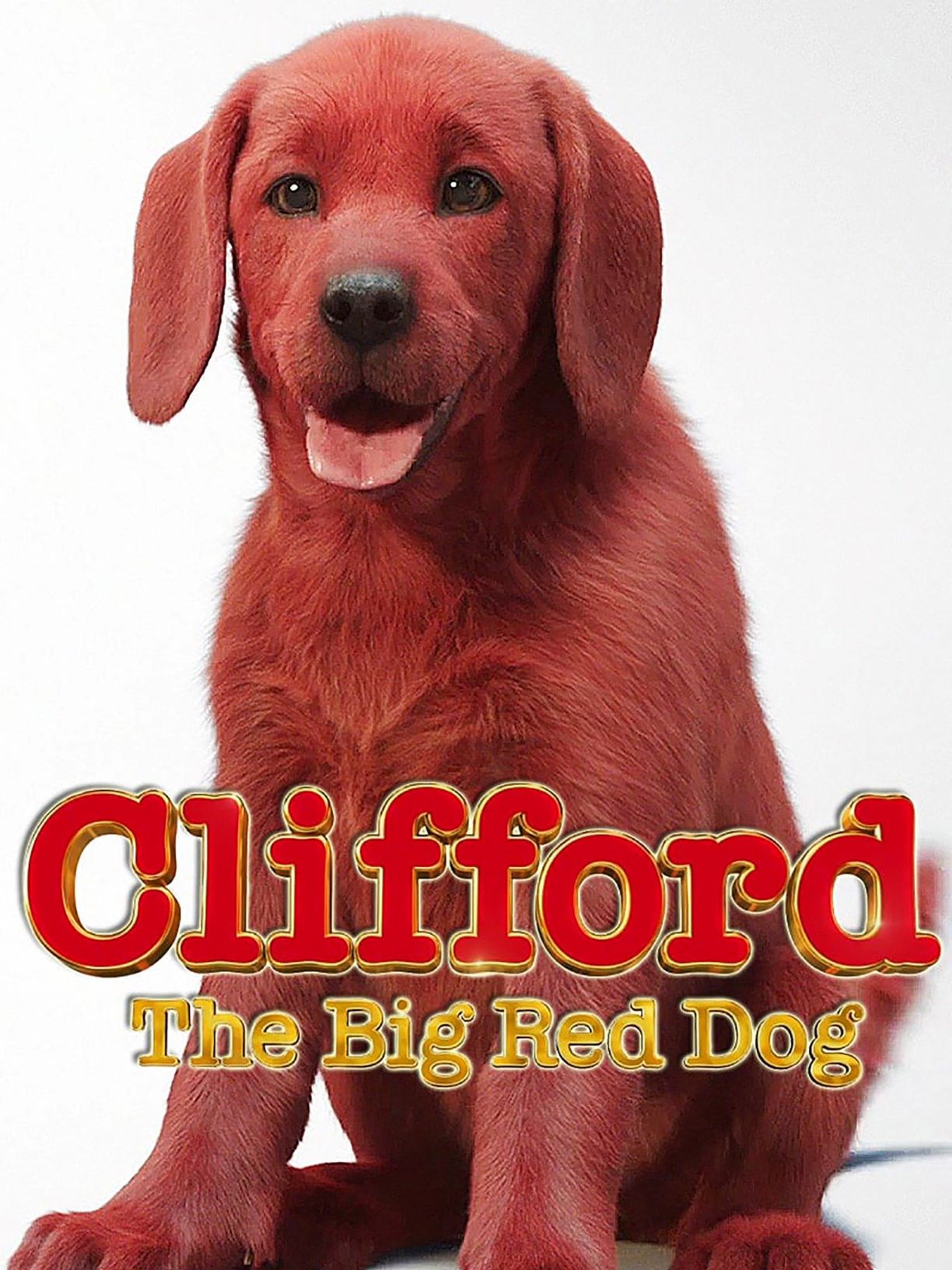Clifford the Big Red Dog (film)