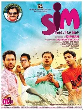 SIM (2013 film)