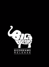 Bigdream release