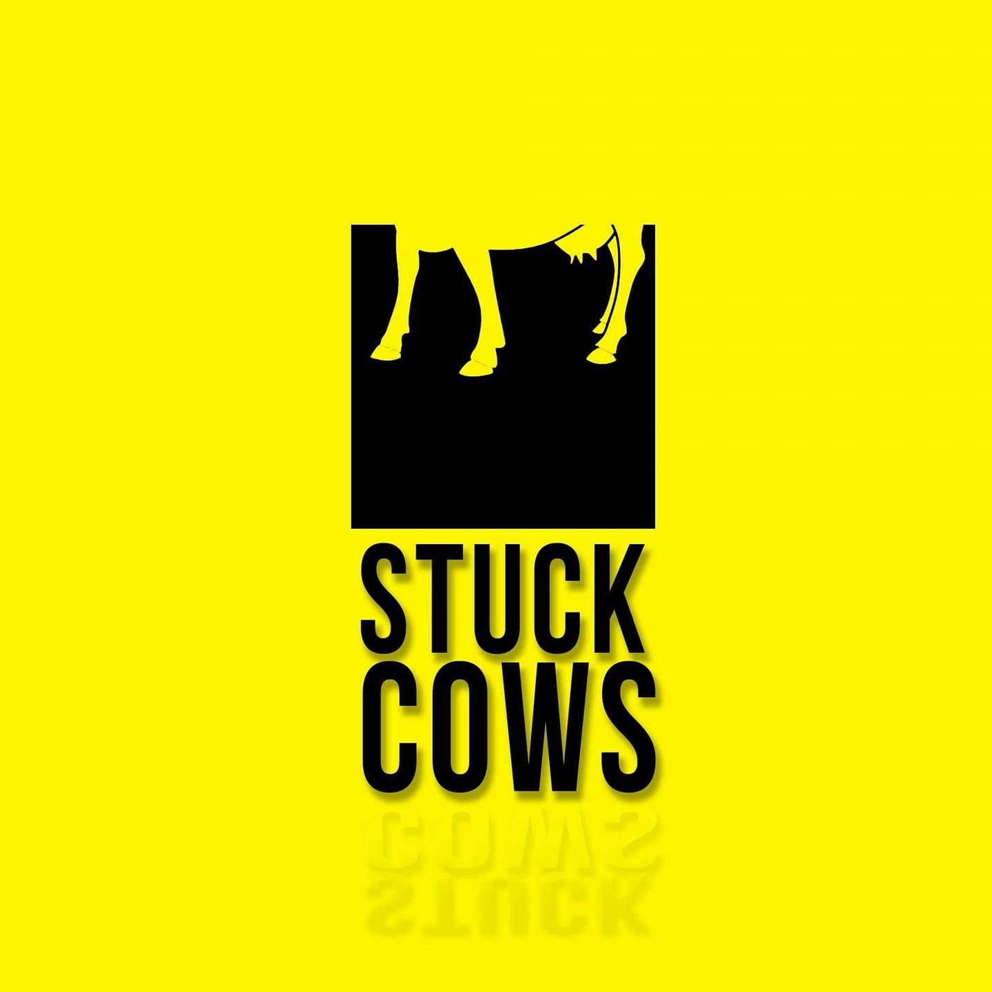 Stuck Cows