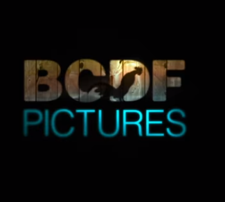 BCDF Pictures